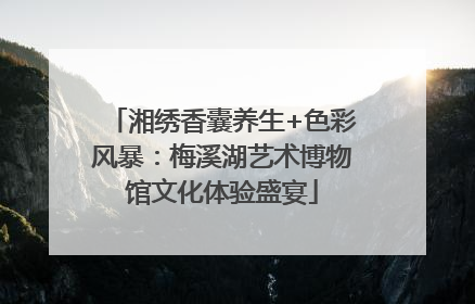 湘绣香囊养生+色彩风暴：梅溪湖艺术博物馆文化体验盛宴