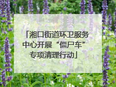湘口街道环卫服务中心开展“僵尸车”专项清理行动