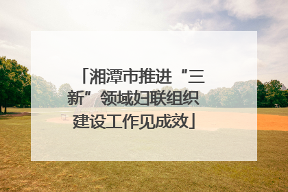 湘潭市推进“三新”领域妇联组织建设工作见成效