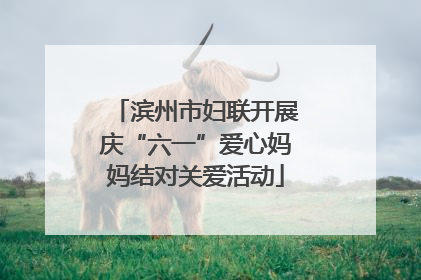 滨州市妇联开展庆“六一”爱心妈妈结对关爱活动