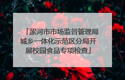 漯河市市场监督管理局城乡一体化示范区分局开展校园食品专项检查