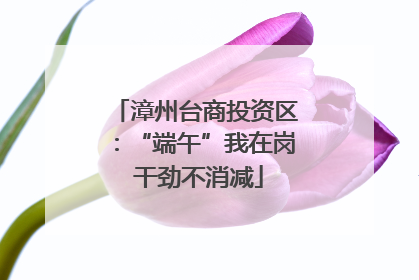 漳州台商投资区：“端午”我在岗 干劲不消减
