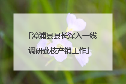 漳浦县县长深入一线调研荔枝产销工作