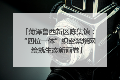 菏泽鲁西新区陈集镇：“四位一体”织密禁烧网 绘就生态新画卷