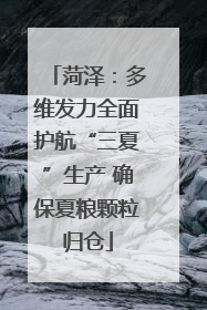 菏泽：多维发力全面护航“三夏”生产 确保夏粮颗粒归仓