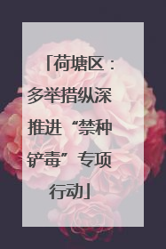 荷塘区：多举措纵深推进“禁种铲毒”专项行动