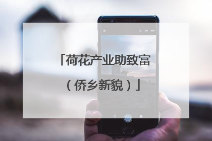 荷花产业助致富（侨乡新貌）
