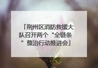荆州区消防救援大队召开两个“全链条”整治行动推进会