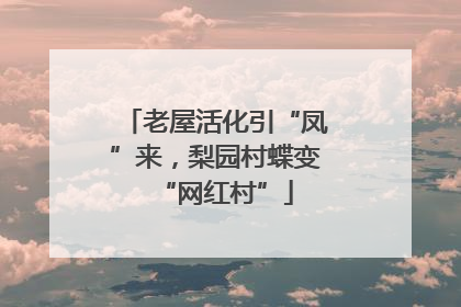 老屋活化引“凤”来，梨园村蝶变“网红村”