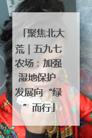 聚焦北大荒｜五九七农场：加强湿地保护 发展向“绿”而行