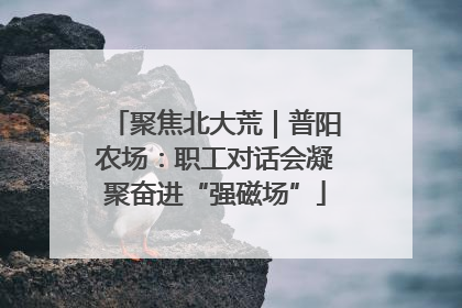 聚焦北大荒｜普阳农场：职工对话会凝聚奋进“强磁场”