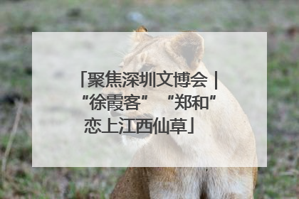 聚焦深圳文博会｜“徐霞客”“郑和”恋上江西仙草