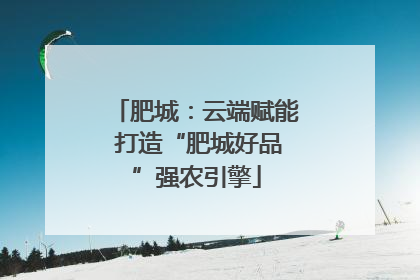 肥城：云端赋能 打造“肥城好品”强农引擎