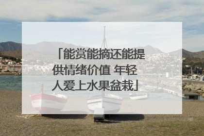 能赏能摘还能提供情绪价值 年轻人爱上水果盆栽