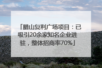 腊山复利广场项目：已吸引20余家知名企业进驻，整体招商率70%