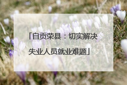 自贡荣县：切实解决失业人员就业难题