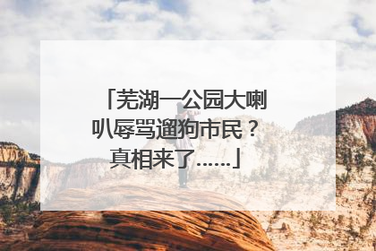 芜湖一公园大喇叭辱骂遛狗市民？真相来了……