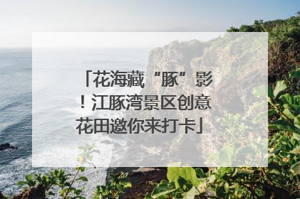 花海藏“豚”影！江豚湾景区创意花田邀你来打卡
