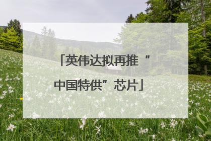 英伟达拟再推“中国特供”芯片