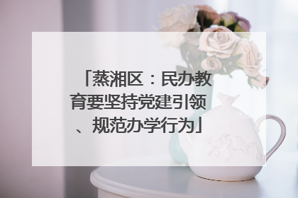 蒸湘区：民办教育要坚持党建引领、规范办学行为