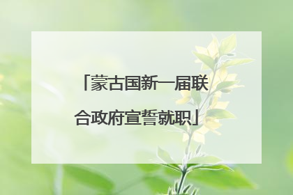 蒙古国新一届联合政府宣誓就职