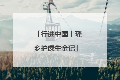 行进中国丨瑶乡护绿生金记