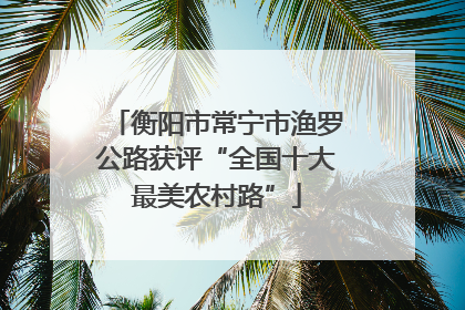 衡阳市常宁市渔罗公路获评“全国十大最美农村路”