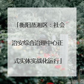 衡阳蒸湘区：社会治安综合治理中心正式实体实战化运行