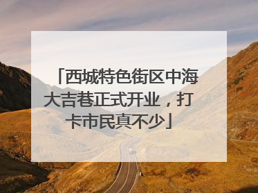 西城特色街区中海大吉巷正式开业，打卡市民真不少