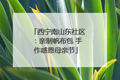 西宁南山东社区：亲制帆布包 手作感恩母亲节