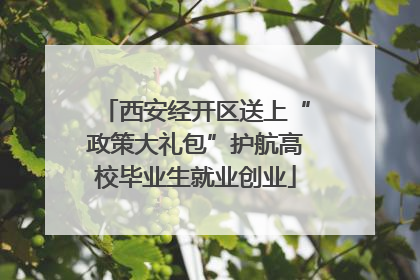 西安经开区送上“政策大礼包”护航高校毕业生就业创业