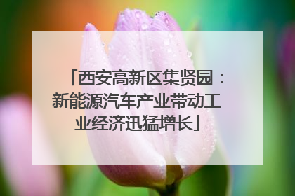 西安高新区集贤园：新能源汽车产业带动工业经济迅猛增长