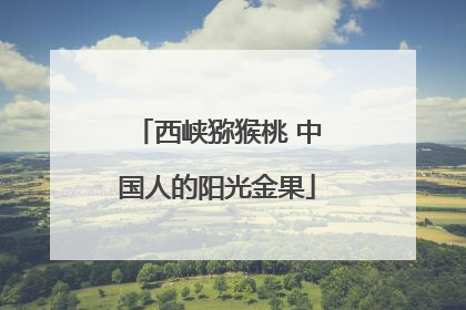 西峡猕猴桃 中国人的阳光金果