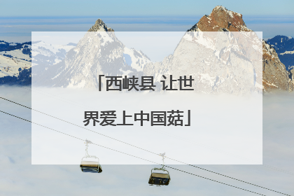 西峡县 让世界爱上中国菇