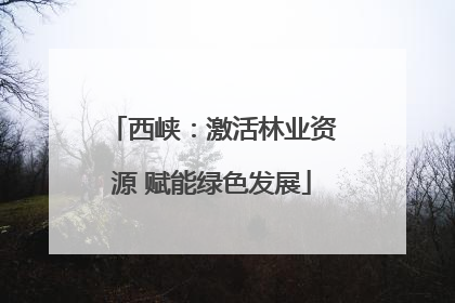 西峡：激活林业资源 赋能绿色发展