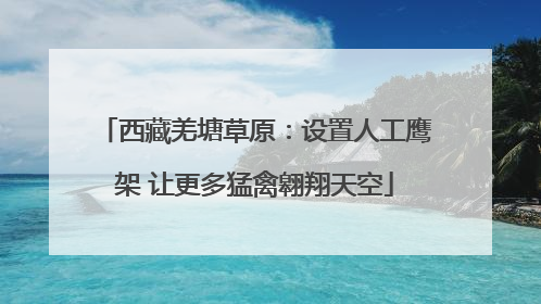 西藏羌塘草原：设置人工鹰架 让更多猛禽翱翔天空