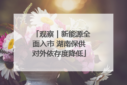 观察｜新能源全面入市 湖南保供对外依存度降低