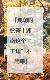 观潮的螃蟹丨湖南这个“主角”不简单