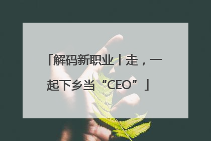 解码新职业丨走，一起下乡当“CEO”