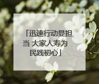 迅速行动显担当 大家人寿为民践初心
