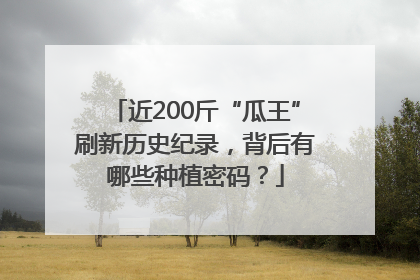 近200斤“瓜王”刷新历史纪录，背后有哪些种植密码？