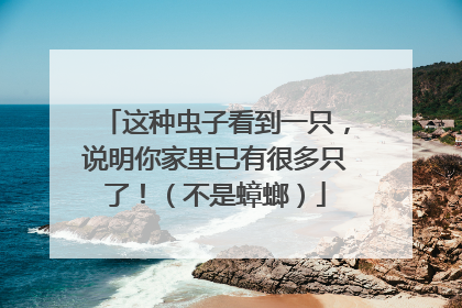 这种虫子看到一只，说明你家里已有很多只了！（不是蟑螂）