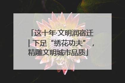 这十年·文明润宿迁｜下足“绣花功夫”，精雕文明城市品质