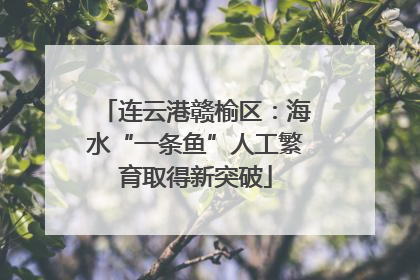 连云港赣榆区：海水“一条鱼”人工繁育取得新突破