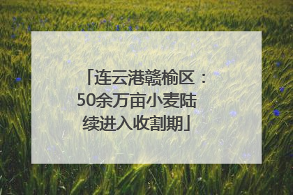 连云港赣榆区：50余万亩小麦陆续进入收割期