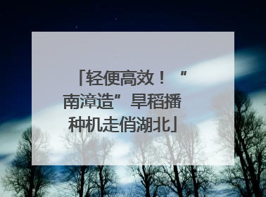 轻便高效！“南漳造”旱稻播种机走俏湖北