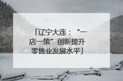辽宁大连：“一店一策”创新提升零售业发展水平