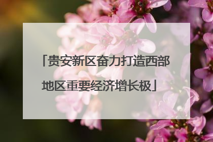 贵安新区奋力打造西部地区重要经济增长极