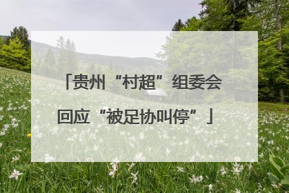 贵州“村超”组委会回应“被足协叫停”