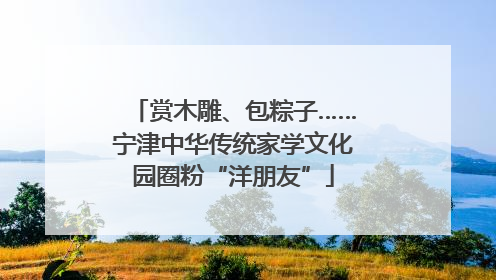 赏木雕、包粽子……宁津中华传统家学文化园圈粉“洋朋友”